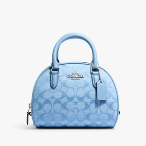 BABY BLUE COACH BAG